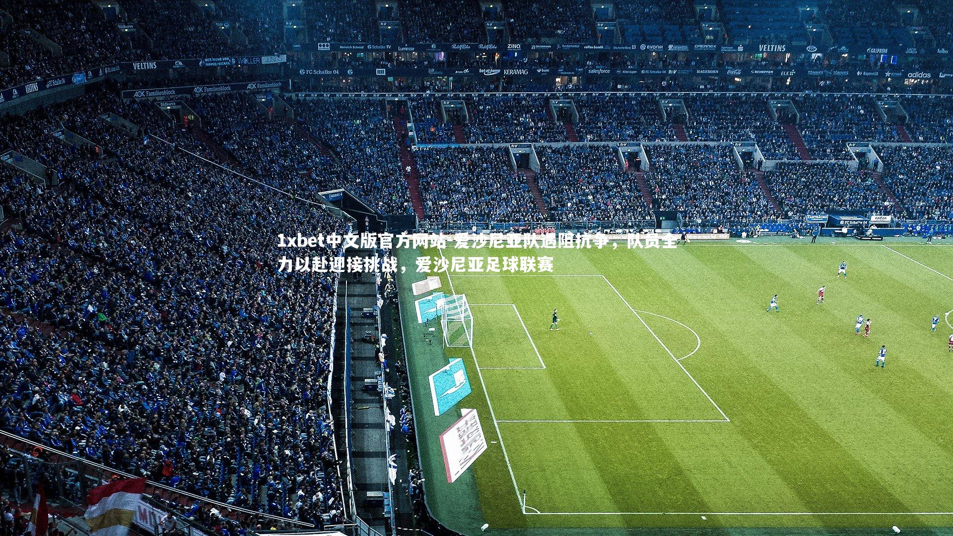 爱沙尼亚队遇阻抗争,队员全力以赴迎接挑战,爱沙尼亚足球联赛