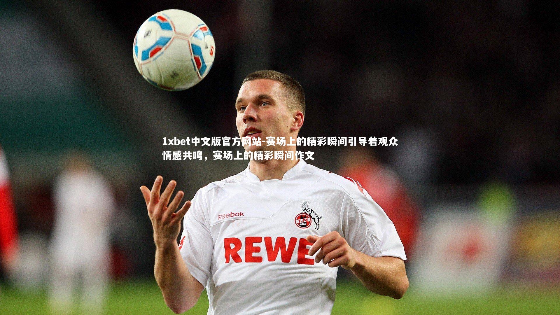 赛场上的精彩瞬间引导着观众情感共鸣，赛场上的精彩瞬间作文
